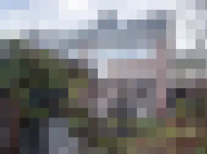 Graspieper 30 Etten-Leur thumbnail 31