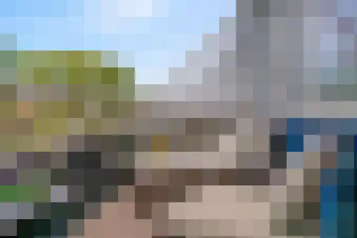 Graspieper 32 Nieuwegein thumbnail 18