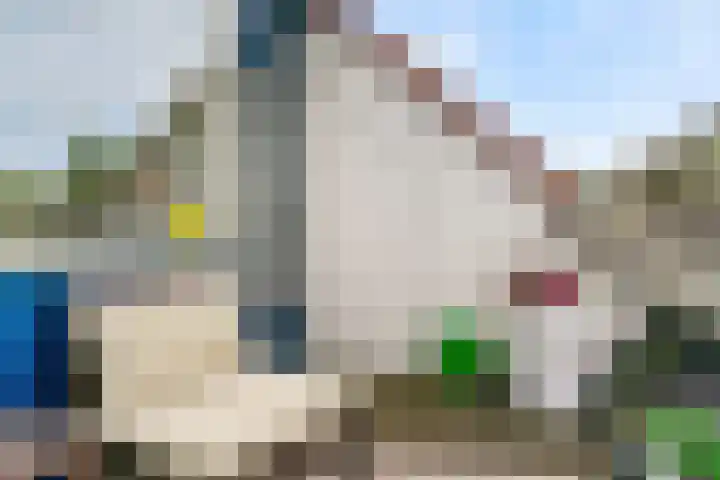 Graspieper 32 Nieuwegein thumbnail 19