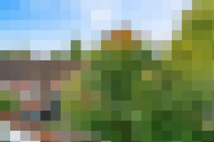 Graspieper 32 Nieuwegein thumbnail 20
