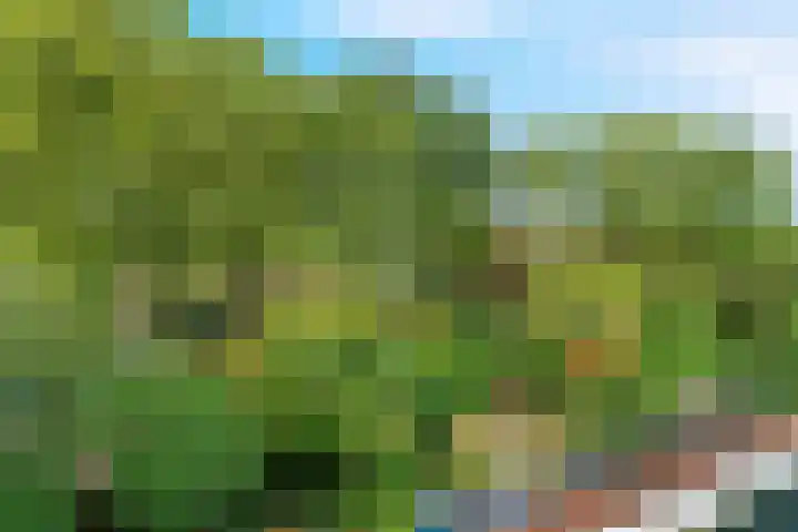 Graspieper 32 Nieuwegein thumbnail 21