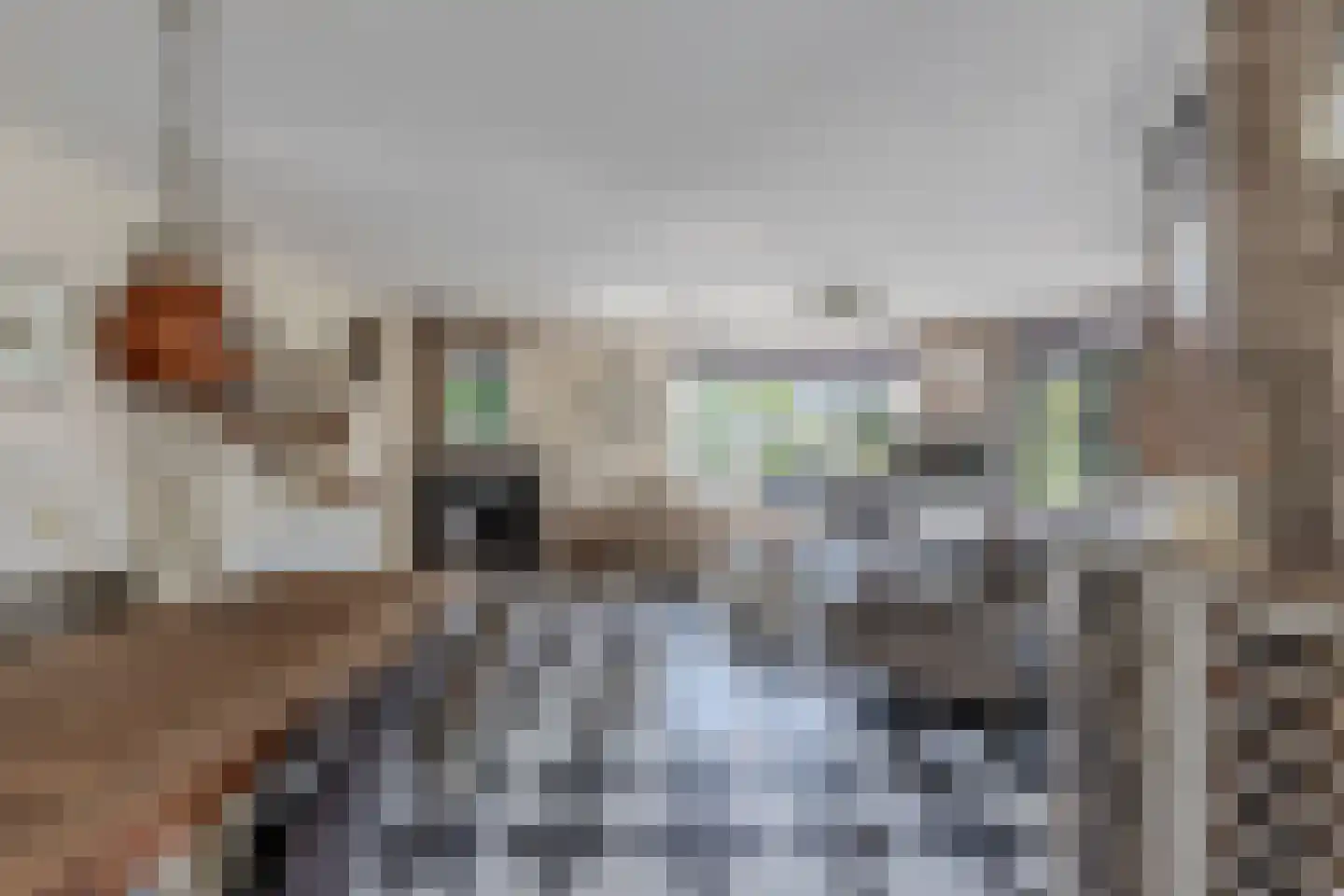 Graspieper 35 Lemmer thumbnail 12