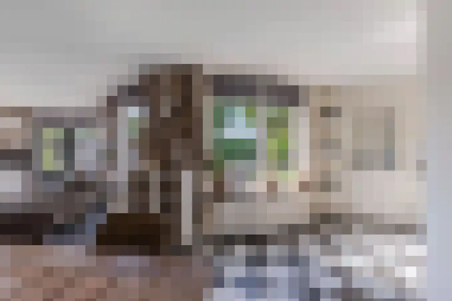 Graspieper 35 Lemmer thumbnail 13