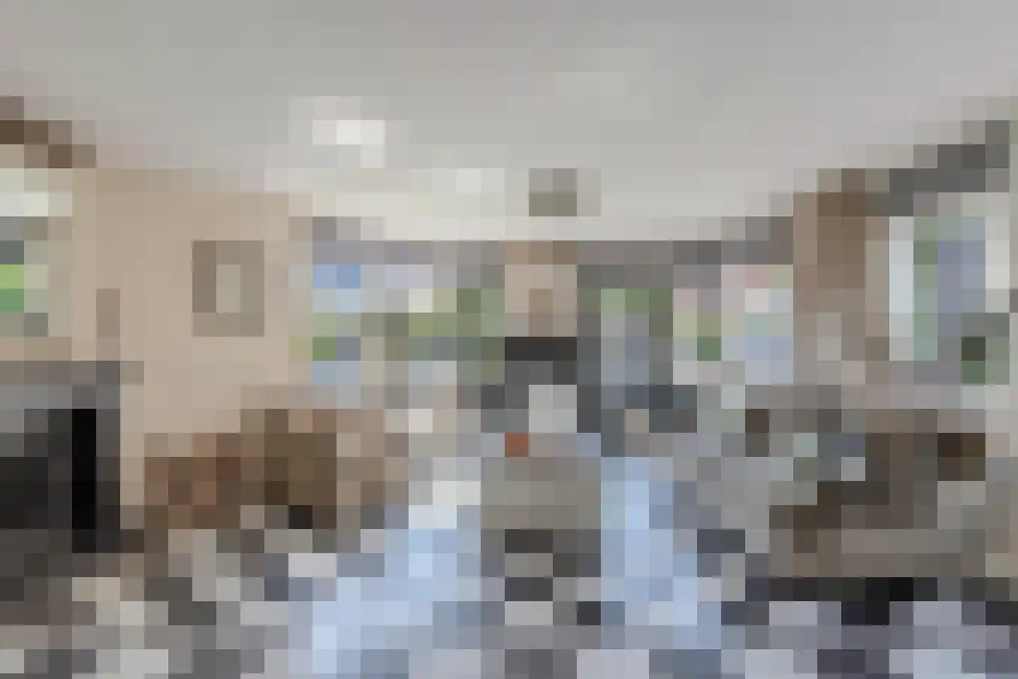 Graspieper 35 Lemmer thumbnail 14