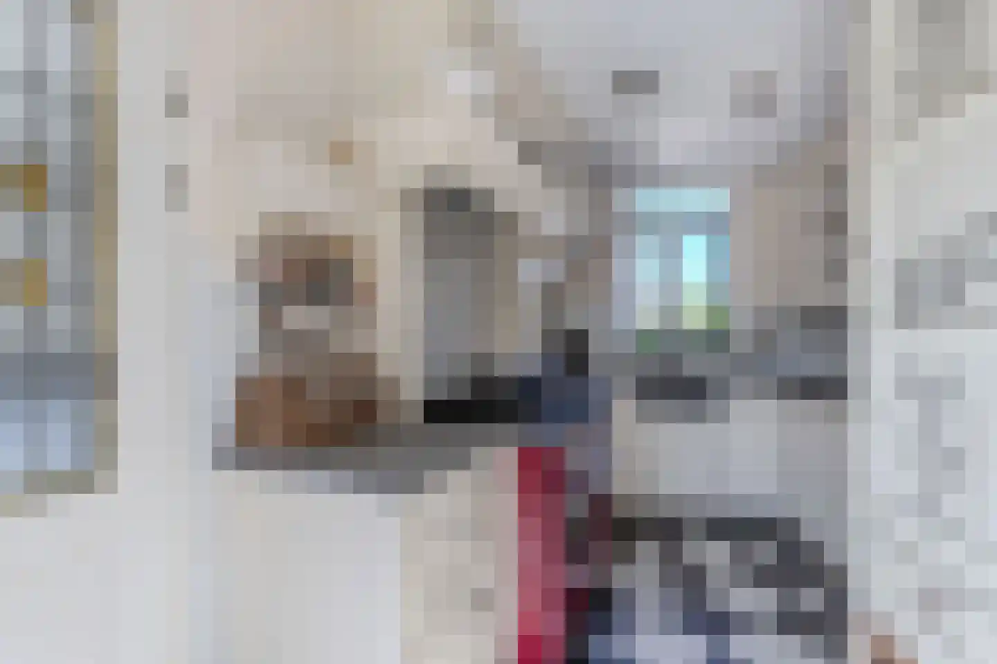 Graspieper 35 Lemmer thumbnail 20