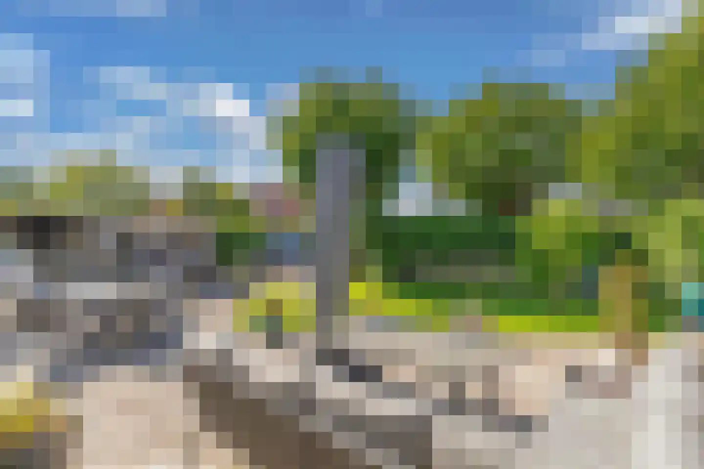 Graspieper 35 Lemmer thumbnail 39
