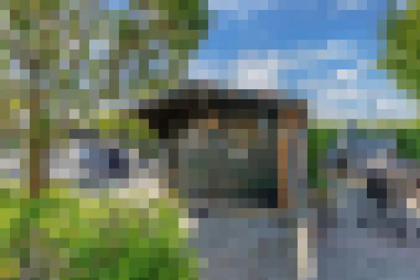 Graspieper 35 Lemmer thumbnail 42