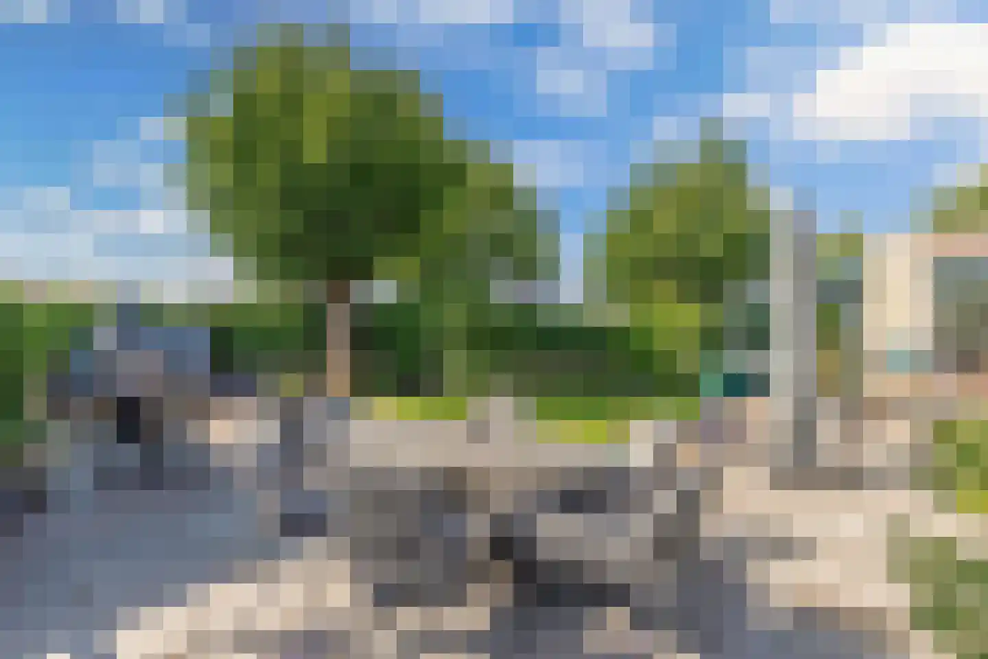 Graspieper 35 Lemmer thumbnail 44