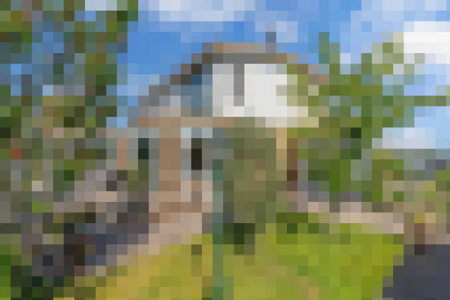 Graspieper 35 Lemmer thumbnail 47