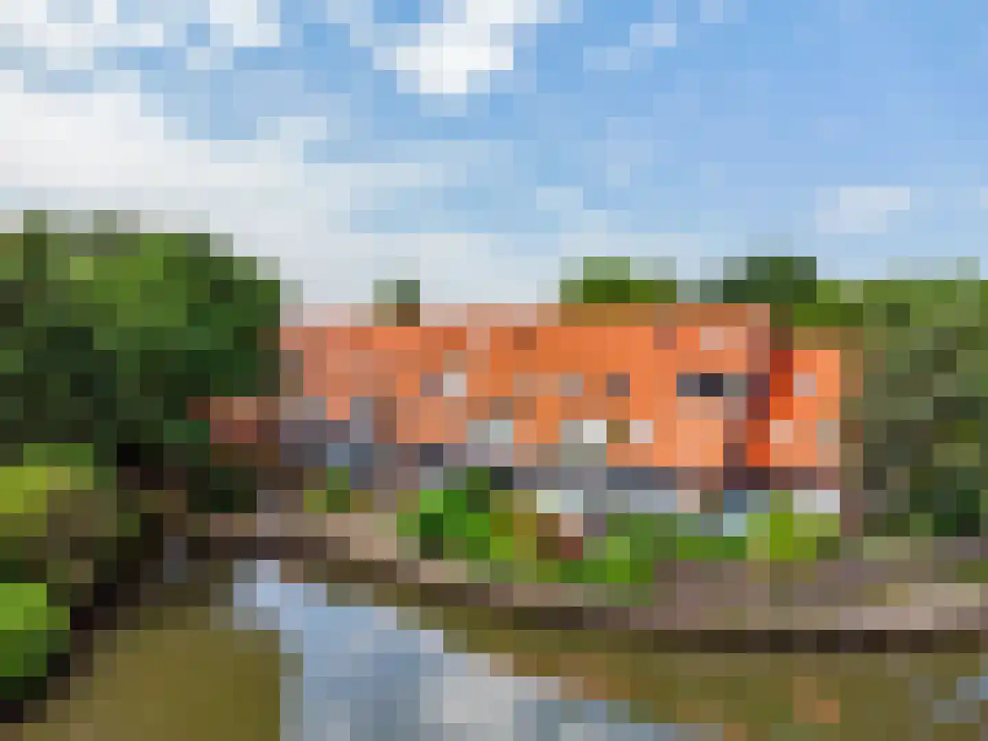 Graspieper 40 in Nieuwegein