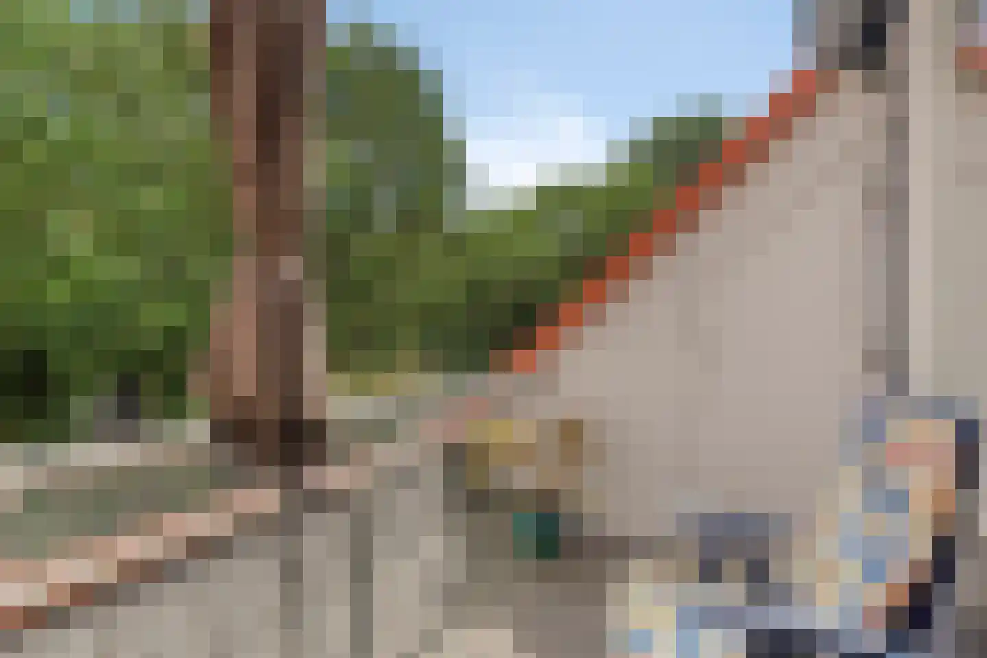 Graspieper 42 Nieuwegein thumbnail 18