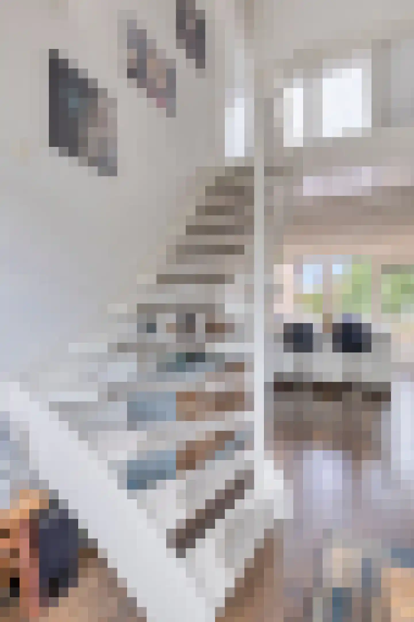 Graspieper 42 Nieuwegein thumbnail 22