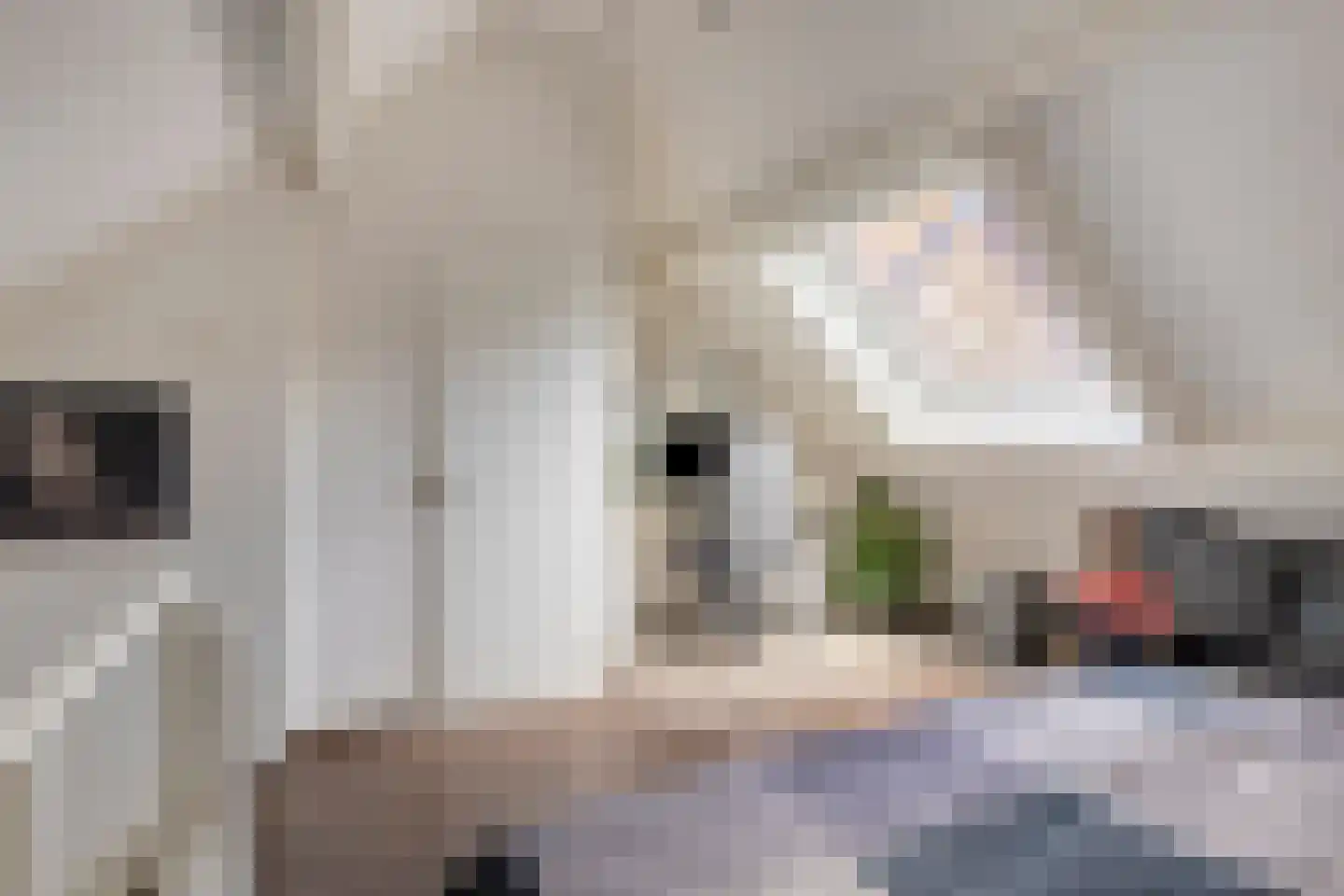 Graspieper 42 Nieuwegein thumbnail 25