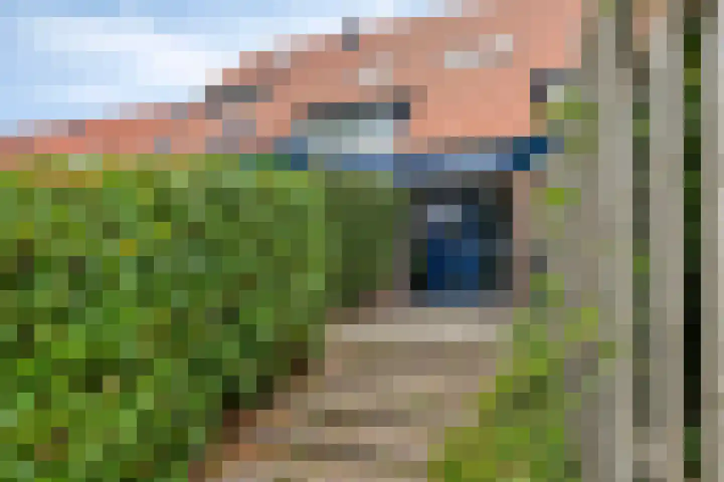 Graspieper 42 Nieuwegein thumbnail 33