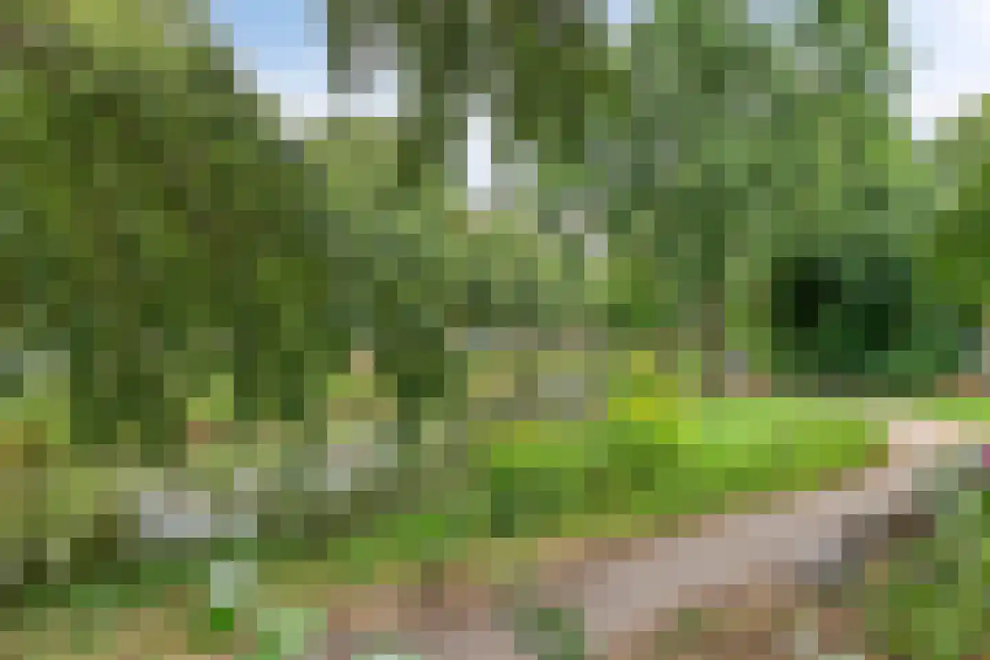 Graspieper 42 Nieuwegein thumbnail 39