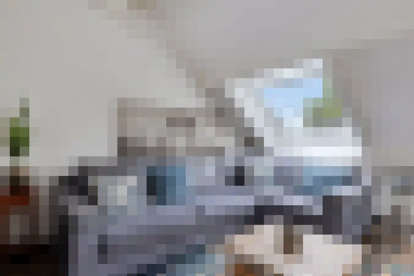 Graspieper 42 Nieuwegein thumbnail 4