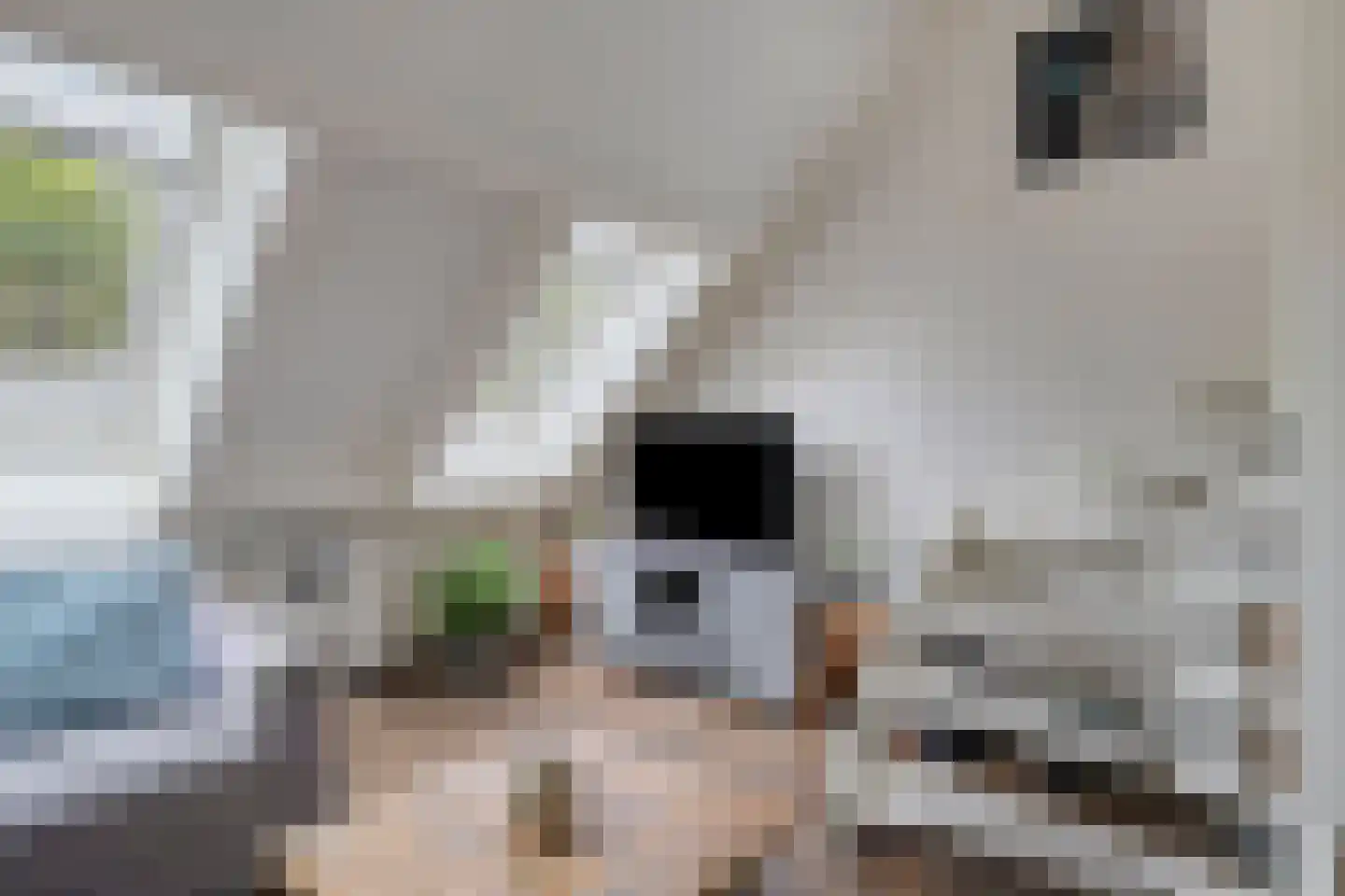 Graspieper 42 Nieuwegein thumbnail 5