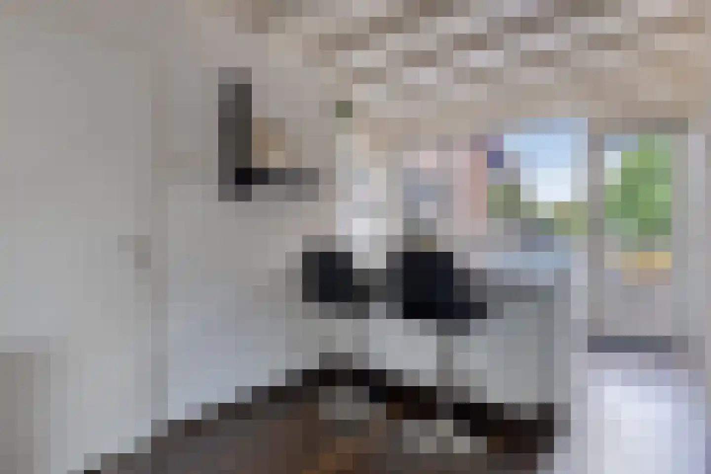 Graspieper 42 Nieuwegein thumbnail 8