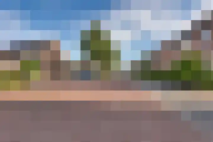 Graspieper 62 IJsselmuiden thumbnail 12