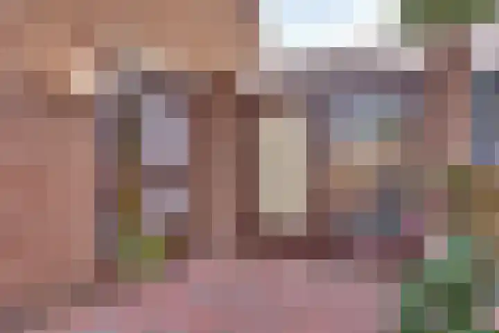 Graspieper 62 IJsselmuiden thumbnail 14