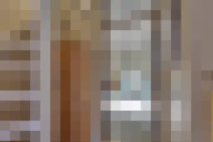 Graspieper 62 IJsselmuiden thumbnail 17