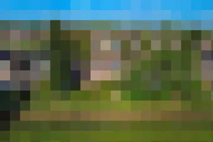 Graspieper 62 IJsselmuiden thumbnail 24