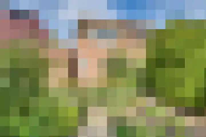 Graspieper 62 IJsselmuiden thumbnail 25