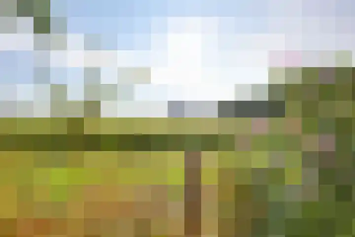 Graspieper 62 IJsselmuiden thumbnail 27