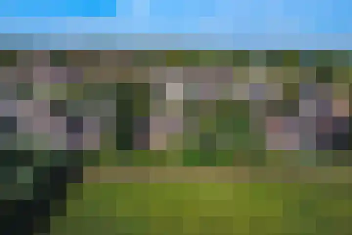 Graspieper 62 IJsselmuiden thumbnail 28