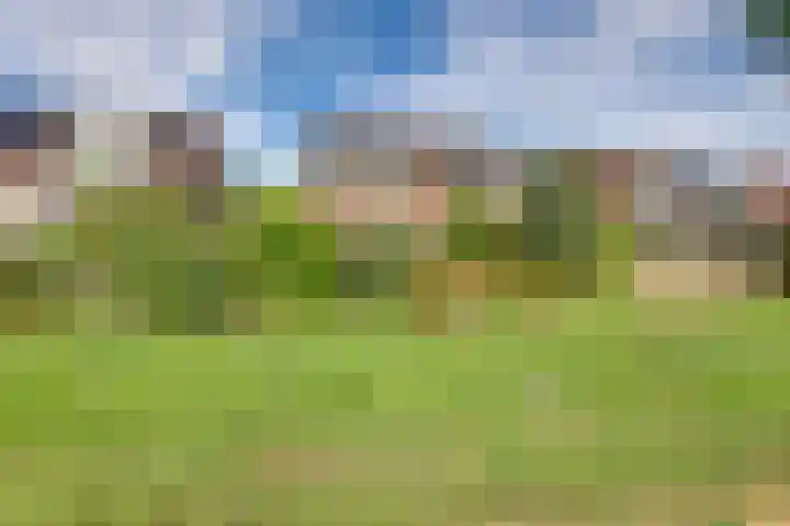 Graspieper 62 IJsselmuiden thumbnail 29