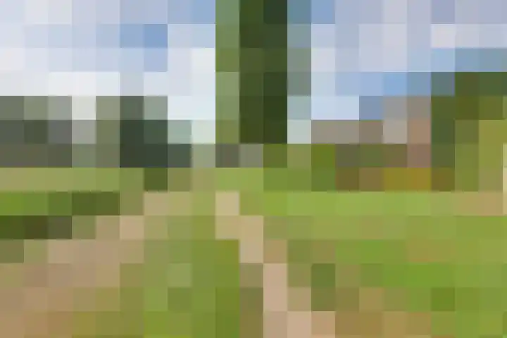 Graspieper 62 IJsselmuiden thumbnail 30