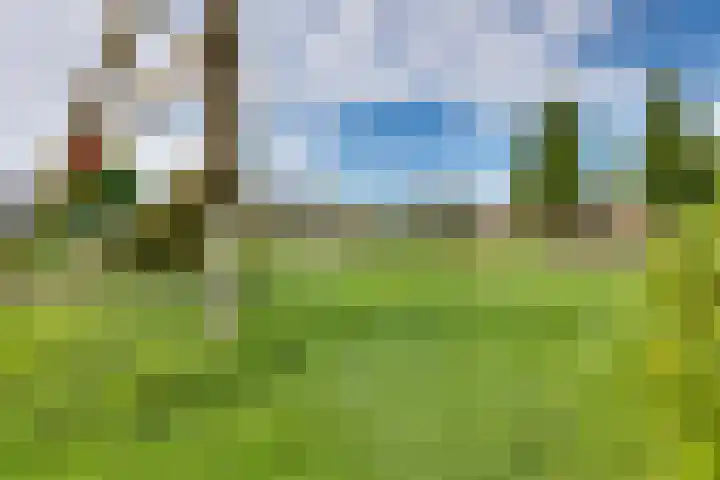 Graspieper 62 IJsselmuiden thumbnail 31