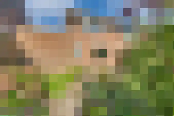 Graspieper 62 IJsselmuiden thumbnail 32