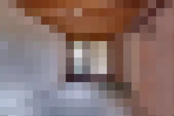 Graspieper 62 IJsselmuiden thumbnail 35