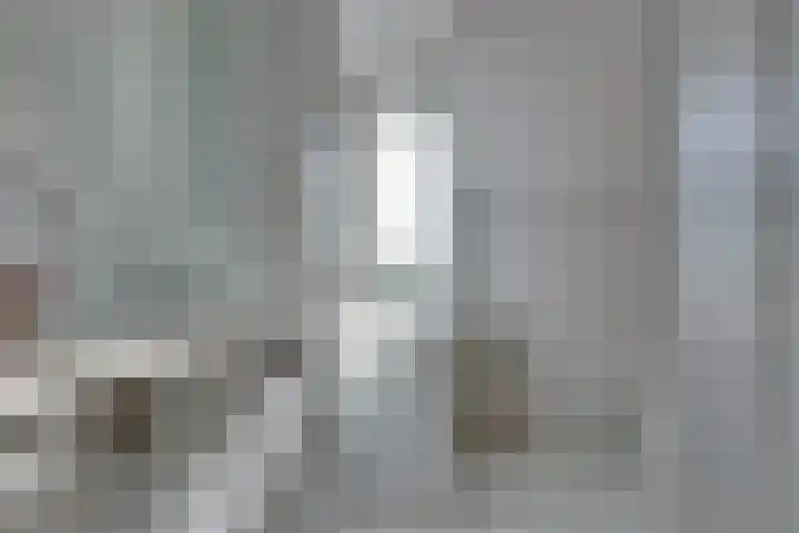 Graspieper 62 IJsselmuiden thumbnail 45