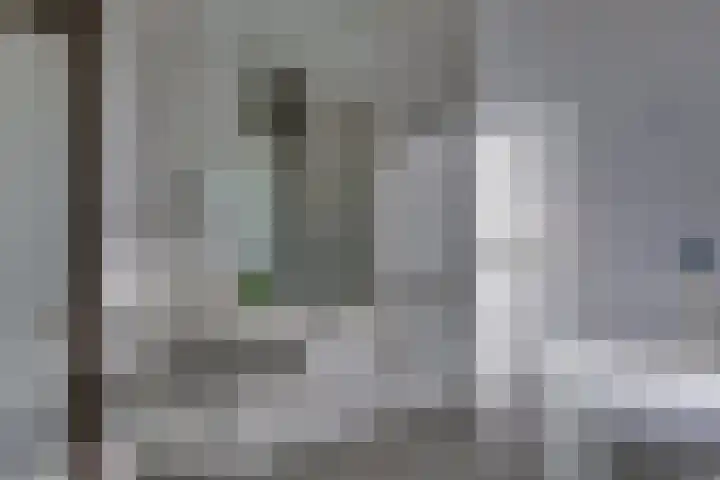 Graspieper 62 IJsselmuiden thumbnail 46