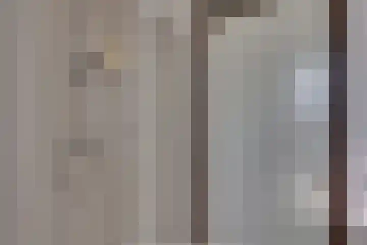 Graspieper 62 IJsselmuiden thumbnail 47