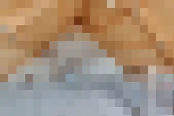 Graspieper 62 IJsselmuiden thumbnail 50