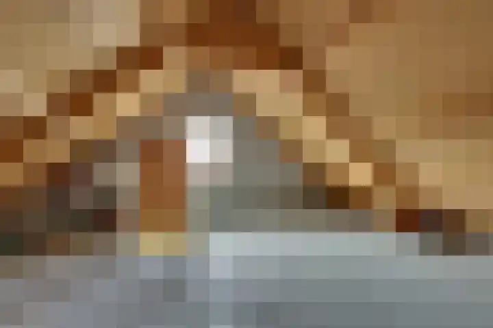 Graspieper 62 IJsselmuiden thumbnail 51
