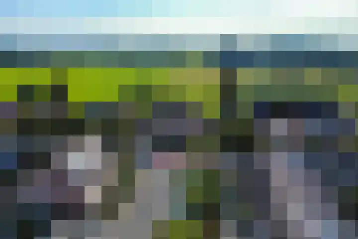 Graspieper 62 IJsselmuiden thumbnail 6