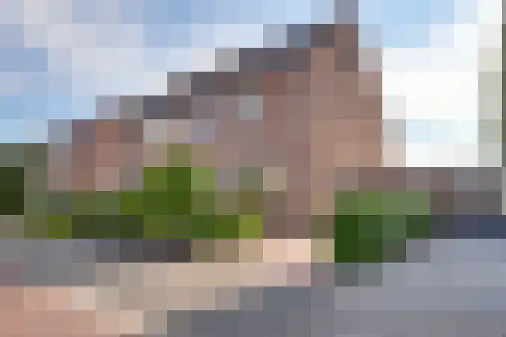 Graspieper 62 IJsselmuiden thumbnail 8