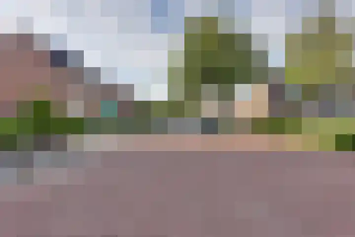 Graspieper 62 IJsselmuiden thumbnail 9