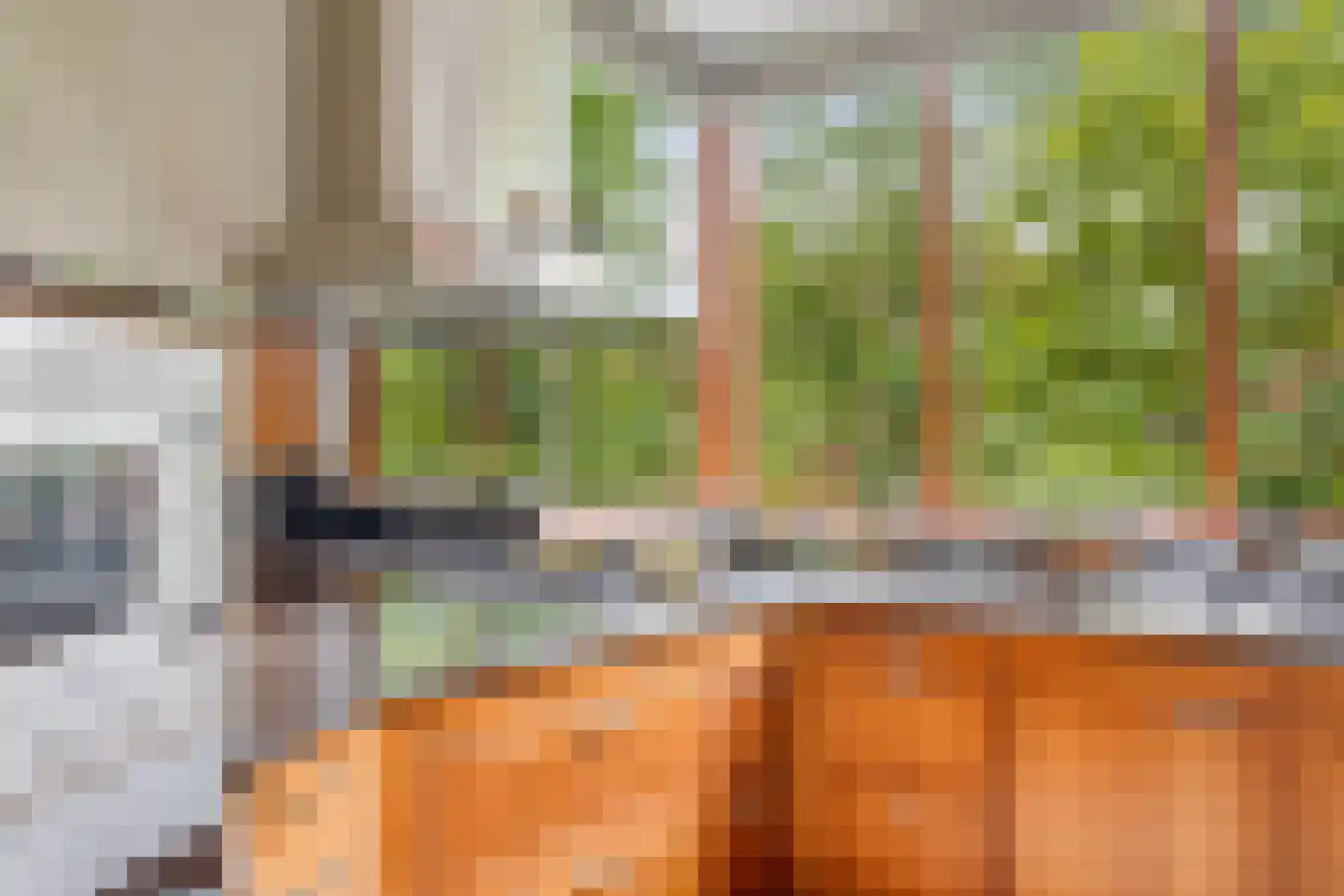 Graspieper 65 Eindhoven thumbnail 12