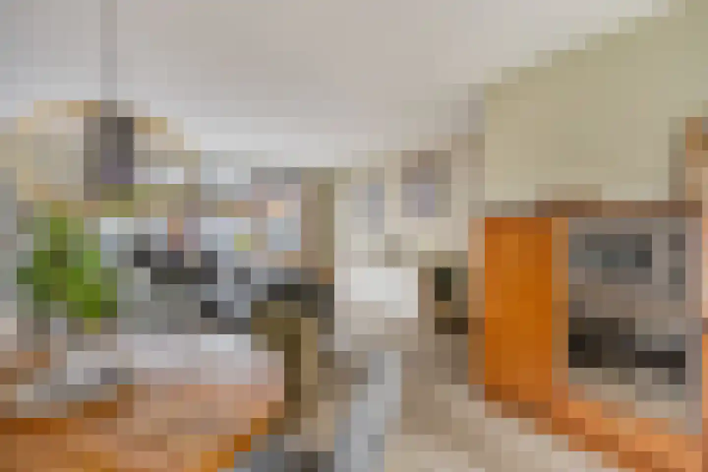 Graspieper 65 Eindhoven thumbnail 13