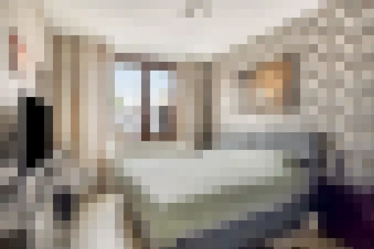 Graspieper 65 Eindhoven thumbnail 14