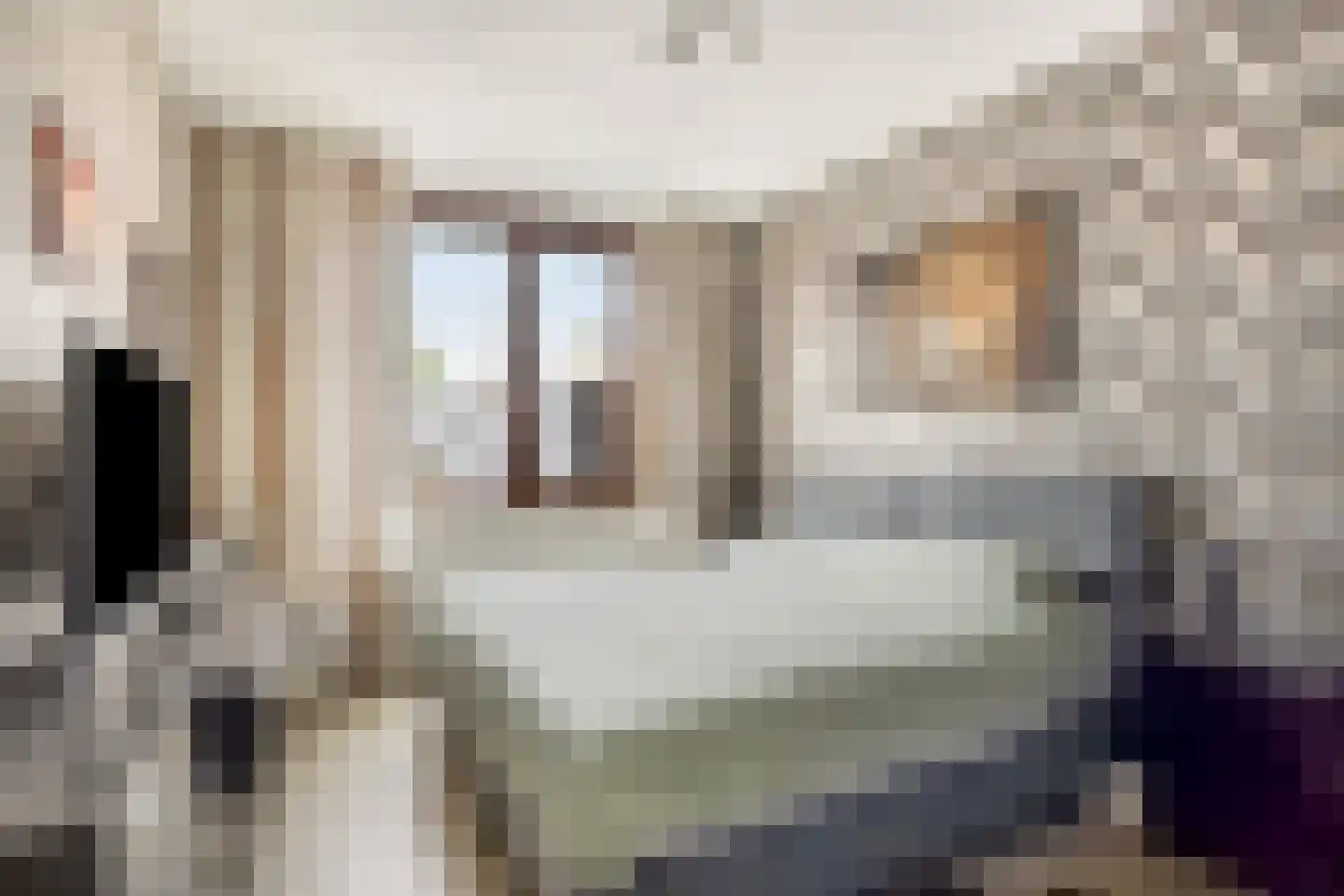 Graspieper 65 Eindhoven thumbnail 14
