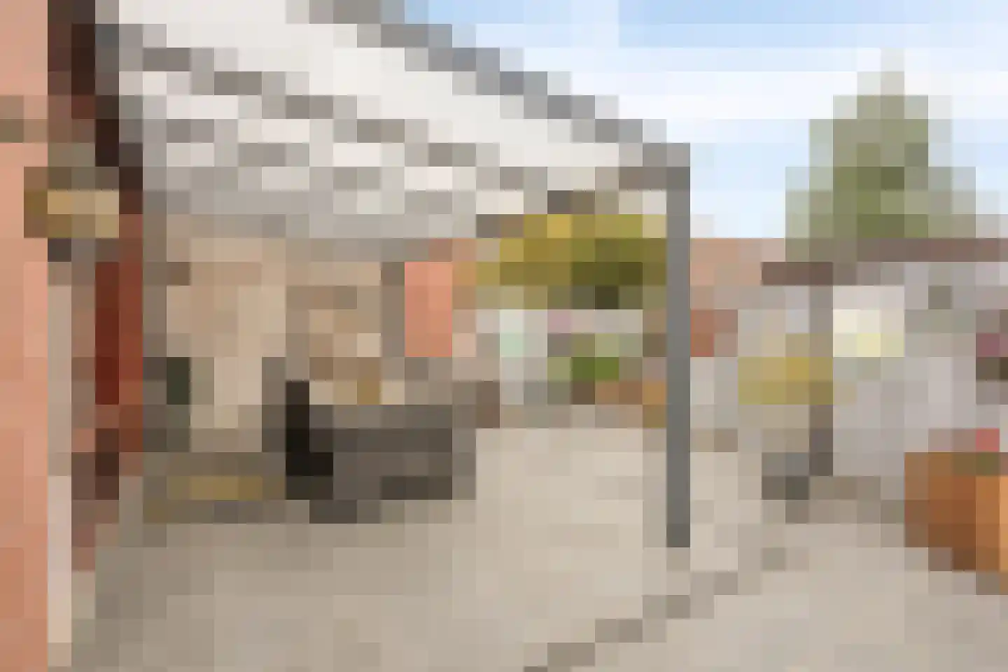 Graspieper 65 Eindhoven thumbnail 25