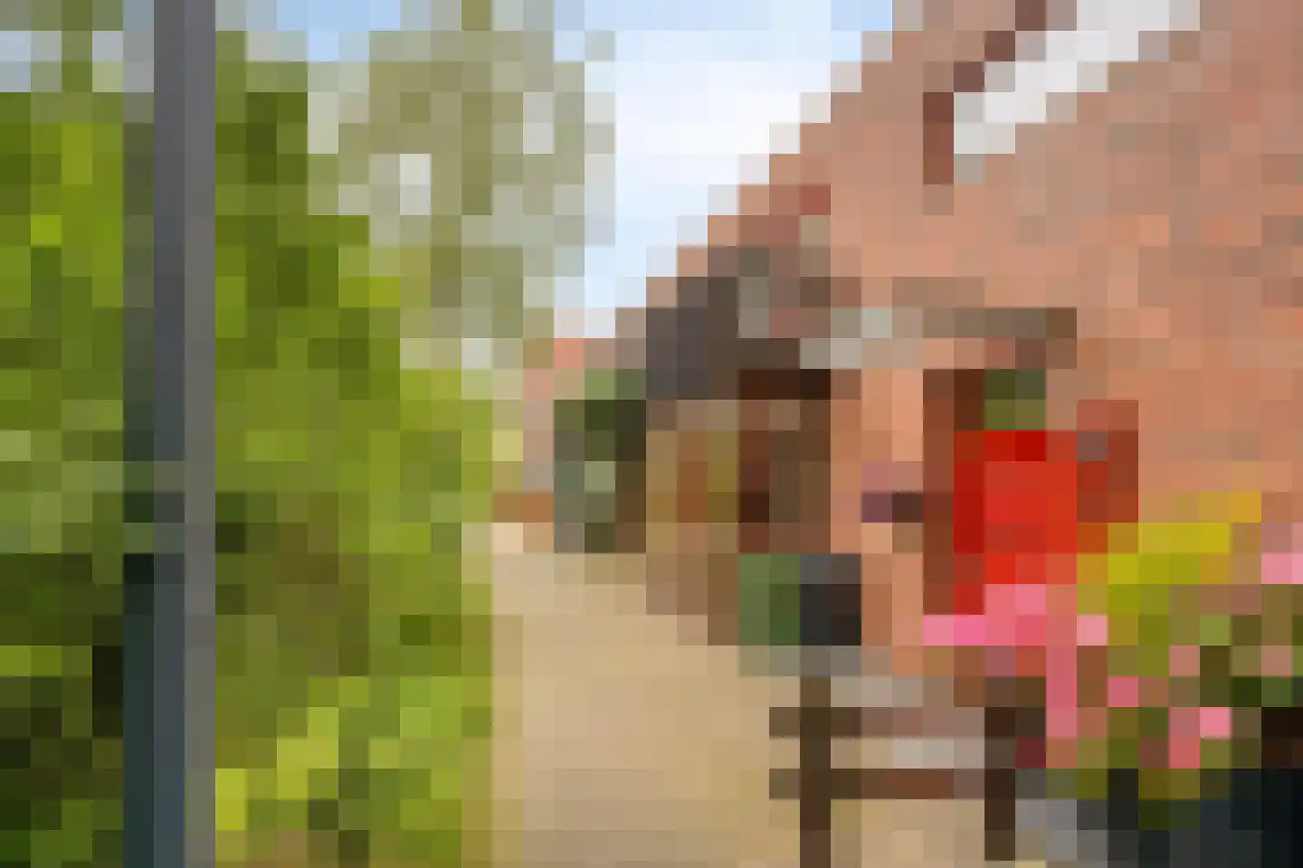 Graspieper 65 Eindhoven thumbnail 31