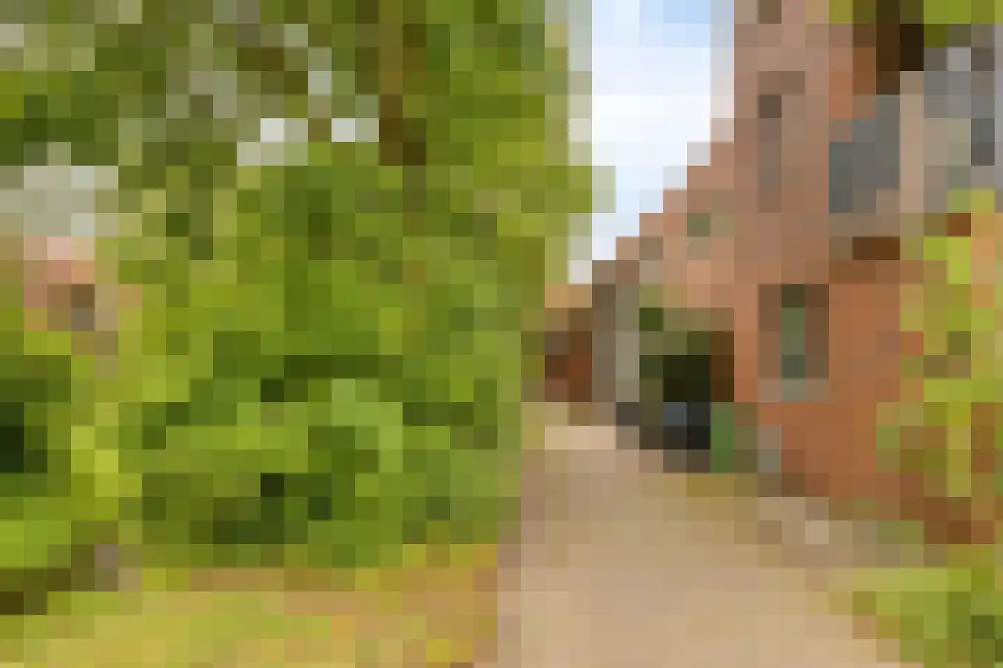Graspieper 65 Eindhoven thumbnail 33