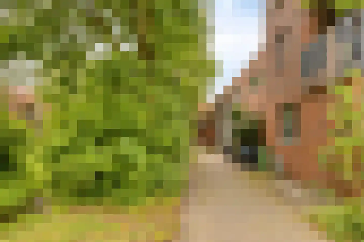 Graspieper 65 Eindhoven thumbnail 33